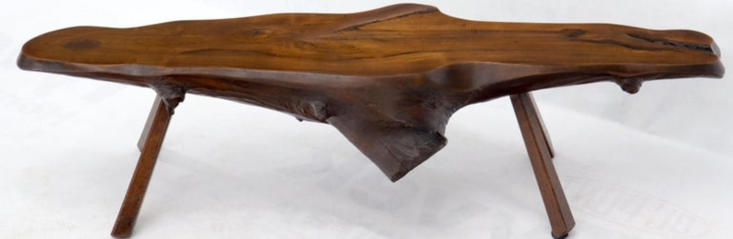 Organic Heavy Solid Walnut Varnished Slab Top Coffee Table on Tapered Legs