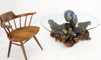 Burl Wood Root Organic Base Large Rounded Square Glass Top Coffee Center Table