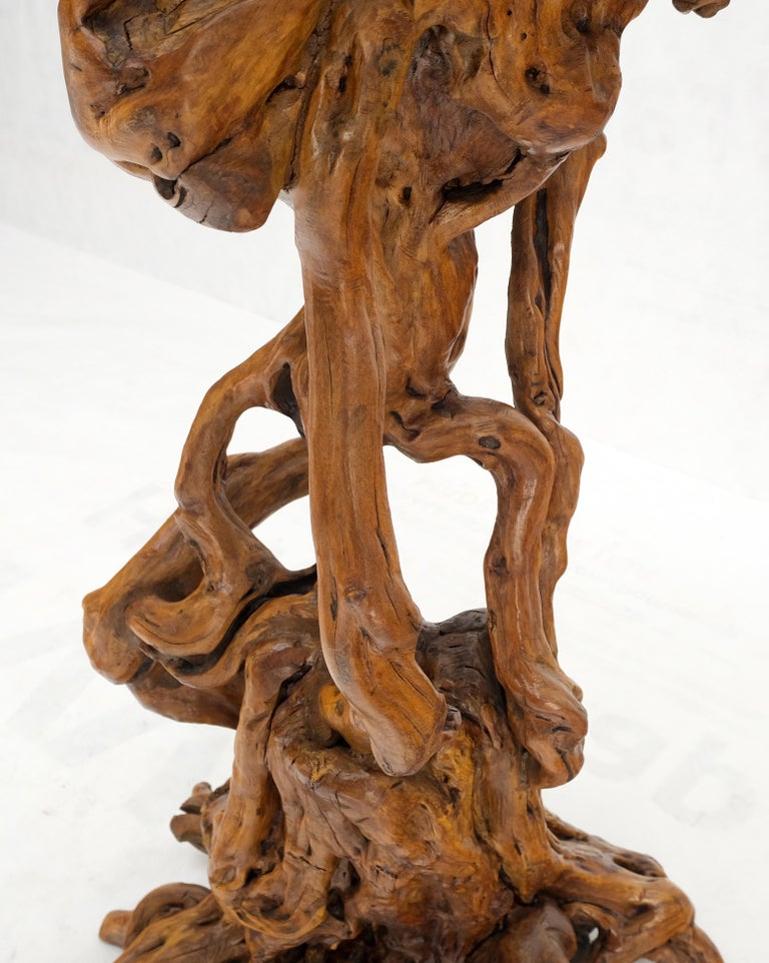 Varnished Driftwood Root Natural Organic Wood Pedestal Side End Table Stand Nice
