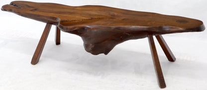 Organic Heavy Solid Walnut Varnished Slab Top Coffee Table on Tapered Legs
